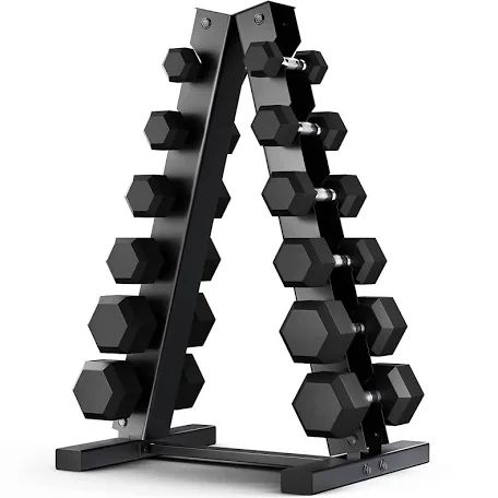 10kg Dumbbell Pair